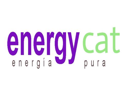 Energy Cat 