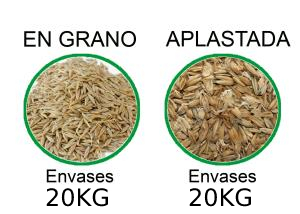 AVENA-FORMATOS