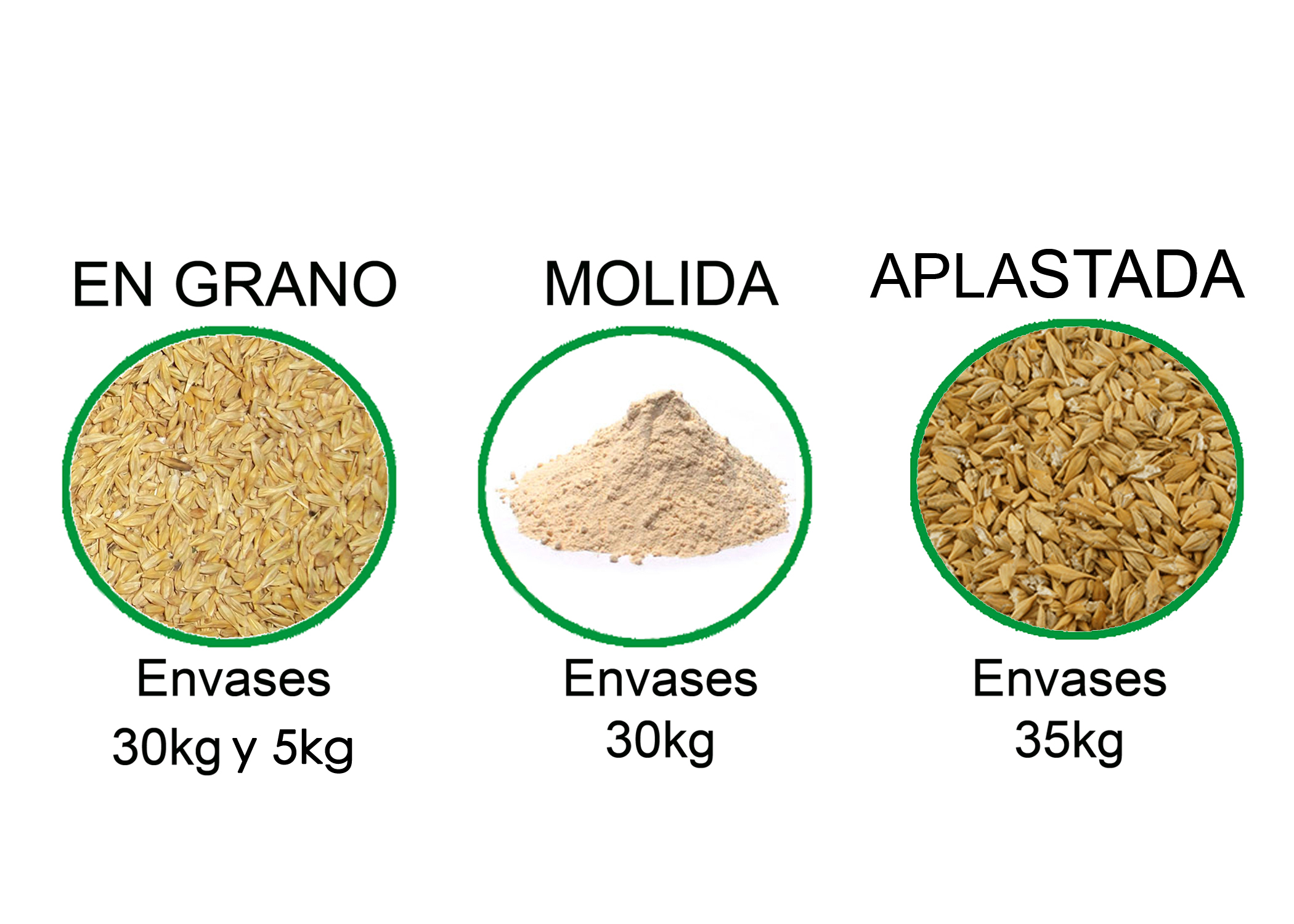 formatos-cebada(2)